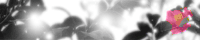 �T�C�g�̖��O